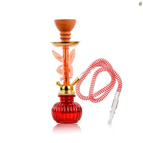 Playboy Pumpkin Hookah - Red